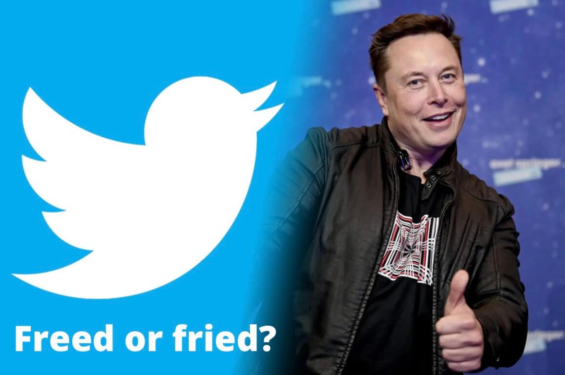 Elon Musk Twitter